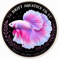 Betta Fish Vinyl sticker 3"