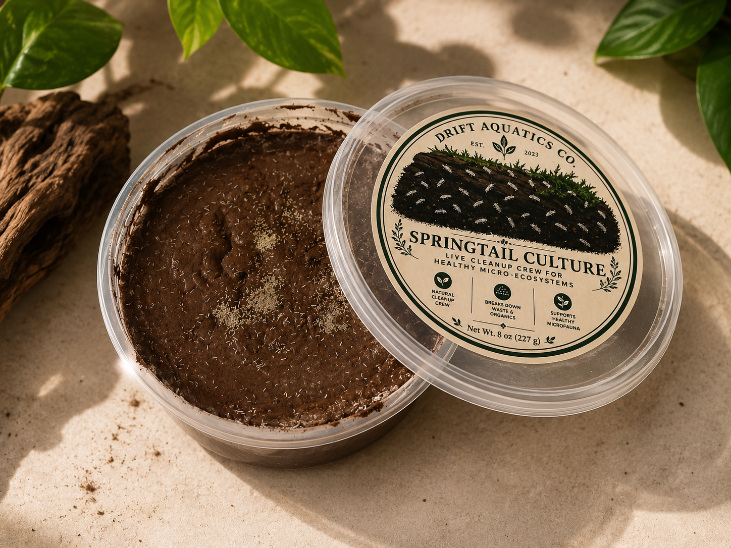 Springtail Culture – 8oz Deli Cup